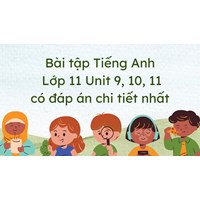 Bài tập Tiếng Anh lớp 11 Unit 9, 10, 11 có đáp án chi tiết nhất