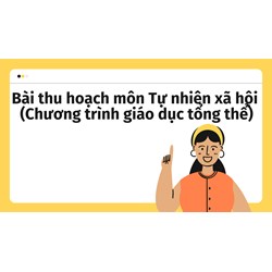 Bài thu hoạch môn Tự nhiên xã hội (Chương trình giáo dục tổng thể)
