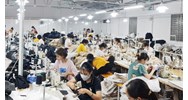 Lương tính đóng bảo hiểm bắt buộc Chủ doanh nghiệp tư nhân hưởng lương