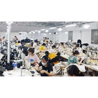 Lương tính đóng bảo hiểm bắt buộc Chủ doanh nghiệp tư nhân hưởng lương