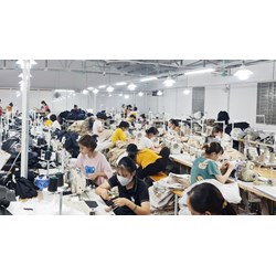 Lương tính đóng bảo hiểm bắt buộc Chủ doanh nghiệp tư nhân hưởng lương