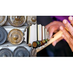 Thuyết minh về một nhạc cụ dân tộc chọn lọc hay nhất