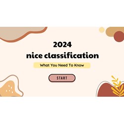 2024 Nice Classification Come to Vietnam: What You Need to Know