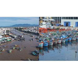 Quản lý khu neo đậu tránh bão cho tàu cá bảo đảm chống thiên tai?