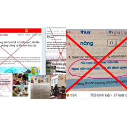 Có bị cấm đăng bài báo có thông tin xuyên tạc, gây hoang mang dư luận
