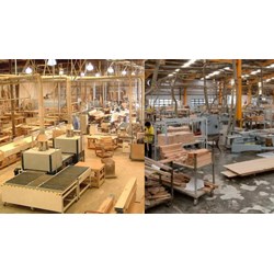 Quyền đăng ký thành lập hộ kinh doanh sản xuất quan tài bằng gỗ?