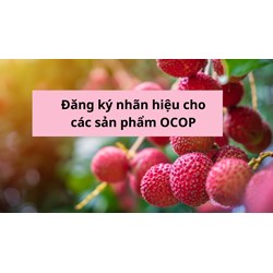 Đăng ký nhãn hiệu cho các sản phẩm OCOP thực hiện như thế nào?