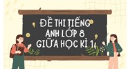 Đề thi Tiếng Anh lớp 8 Giữa học kì 1 có đáp án chi tiết nhất