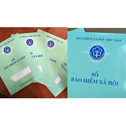 Vị trí, chức năng của Thanh tra Bảo hiểm xã hội Việt Nam từ  01/3/2024