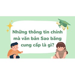 Những thông tin chính mà văn bản Sao băng cung cấp là gì?