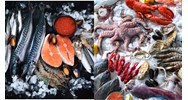 Cơ sở chế biến thủy sản mở rộng quy mô thẩm định lại an toàn thực phẩm?