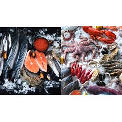 Cơ sở chế biến thủy sản mở rộng quy mô thẩm định lại an toàn thực phẩm?