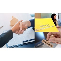 Giấy chứng nhận bảo hiểm nhân thọ là bằng chứng giao kết hợp đồng?
