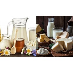 Giới hạn ô nhiễm vi sinh vật trong sữa và sản phẩm sữa