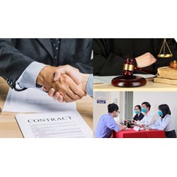Chấm dứt trợ giúp pháp lý khi người được trợ giúp pháp lý có hành vi nào?