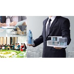 Dịch vụ tư vấn, quản lý bất động sản từ 01/01/2025 thay đổi thế nào?