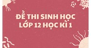 Đề thi Sinh học lớp 12 Học kì 1 cập nhật mới nhất