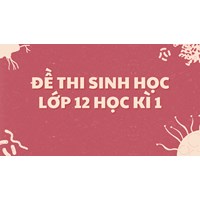 Đề thi Sinh học lớp 12 Học kì 1 cập nhật mới nhất