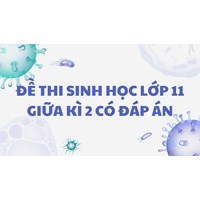 Đề thi Sinh học lớp 11 Giữa kì 2 có đáp án mới nhất