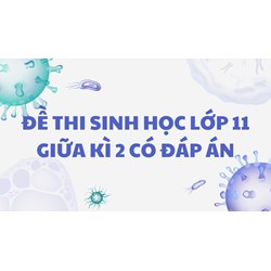 Đề thi Sinh học lớp 11 Giữa kì 2 có đáp án mới nhất