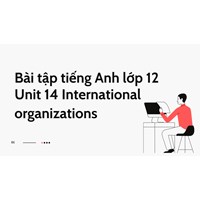 Bài tập tiếng Anh lớp 12 Unit 14 International organizations có đáp án