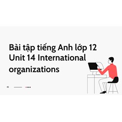 Bài tập tiếng Anh lớp 12 Unit 14 International organizations có đáp án