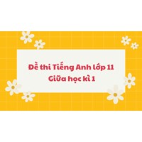 Đề thi Tiếng Anh lớp 11 Giữa học kì 1 cập nhật mới nhất