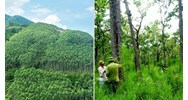 Diện tích đất rừng do hộ, cá nhân quản lý gần 3,2 triệu ha