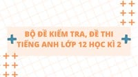 Bộ Đề kiểm tra, đề thi Tiếng Anh lớp 12 Học kì 2 có đáp án