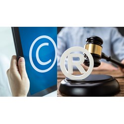 Luật sở hữu trí tuệ quy định về hình ảnh như thế nào?