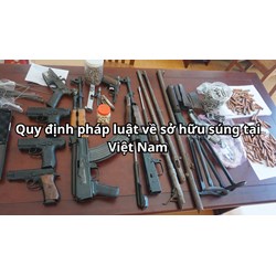 Quy định pháp luật về sở hữu súng tại Việt Nam