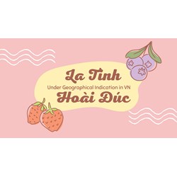 "La Tinh Hoai Duc" Grapefruit Under Geographical Indication in VN