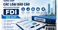 Tổng hợp các loại báo cáo của doanh nghiệp FDI mới nhất