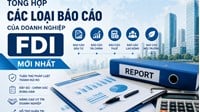 Tổng hợp các loại báo cáo của doanh nghiệp FDI mới nhất