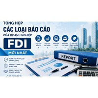Tổng hợp các loại báo cáo của doanh nghiệp FDI mới nhất
