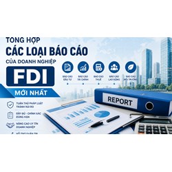 Tổng hợp các loại báo cáo của doanh nghiệp FDI mới nhất