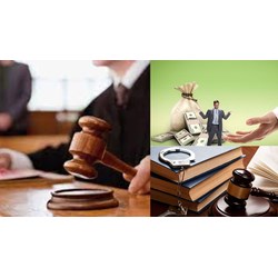 Học thuyết về mô hình truy cứu trách nhiệm hình sự với pháp nhân