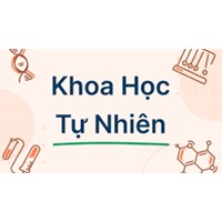 Đề thi giữa học kì 1 môn Khoa học tự nhiên 6 KNTT mới nhất