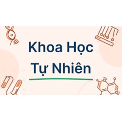 Đề thi giữa học kì 1 môn Khoa học tự nhiên 6 KNTT mới nhất