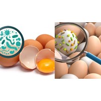 Giới hạn ô nhiễm vi sinh vật trong trứng và sản phẩm trứng