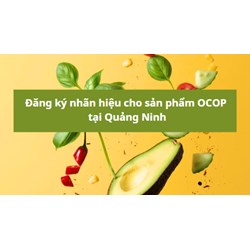 Đăng ký nhãn hiệu cho sản phẩm OCOP tại Quảng Ninh như thế nào?