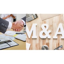 Hoạt động mua bán doanh nghiệp M&A được điều chỉnh bởi Luật nào?