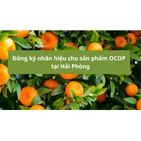 Đăng ký nhãn hiệu cho sản phẩm OCOP tại Hải Phòng như thế nào?