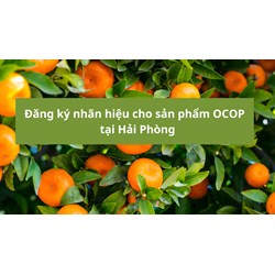 Đăng ký nhãn hiệu cho sản phẩm OCOP tại Hải Phòng như thế nào?