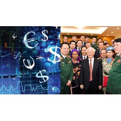 Thẩm quyền thành lập Ủy ban nhân sự của tổ chức tài chính vi mô?