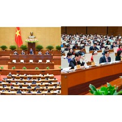 Phó Thủ tướng thay mặt Thủ tướng trả lời chất vấn trước Quốc hội?