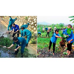 Pháp luật về bảo vệ môi trường và thực trạng bảo vệ quyền sống trong môi trường trong lành