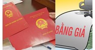 Viên chức sử dụng bằng giả để được bổ nhiệm có bị buộc thôi việc?