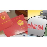 Viên chức sử dụng bằng giả để được bổ nhiệm có bị buộc thôi việc?