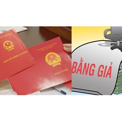 Viên chức sử dụng bằng giả để được bổ nhiệm có bị buộc thôi việc?